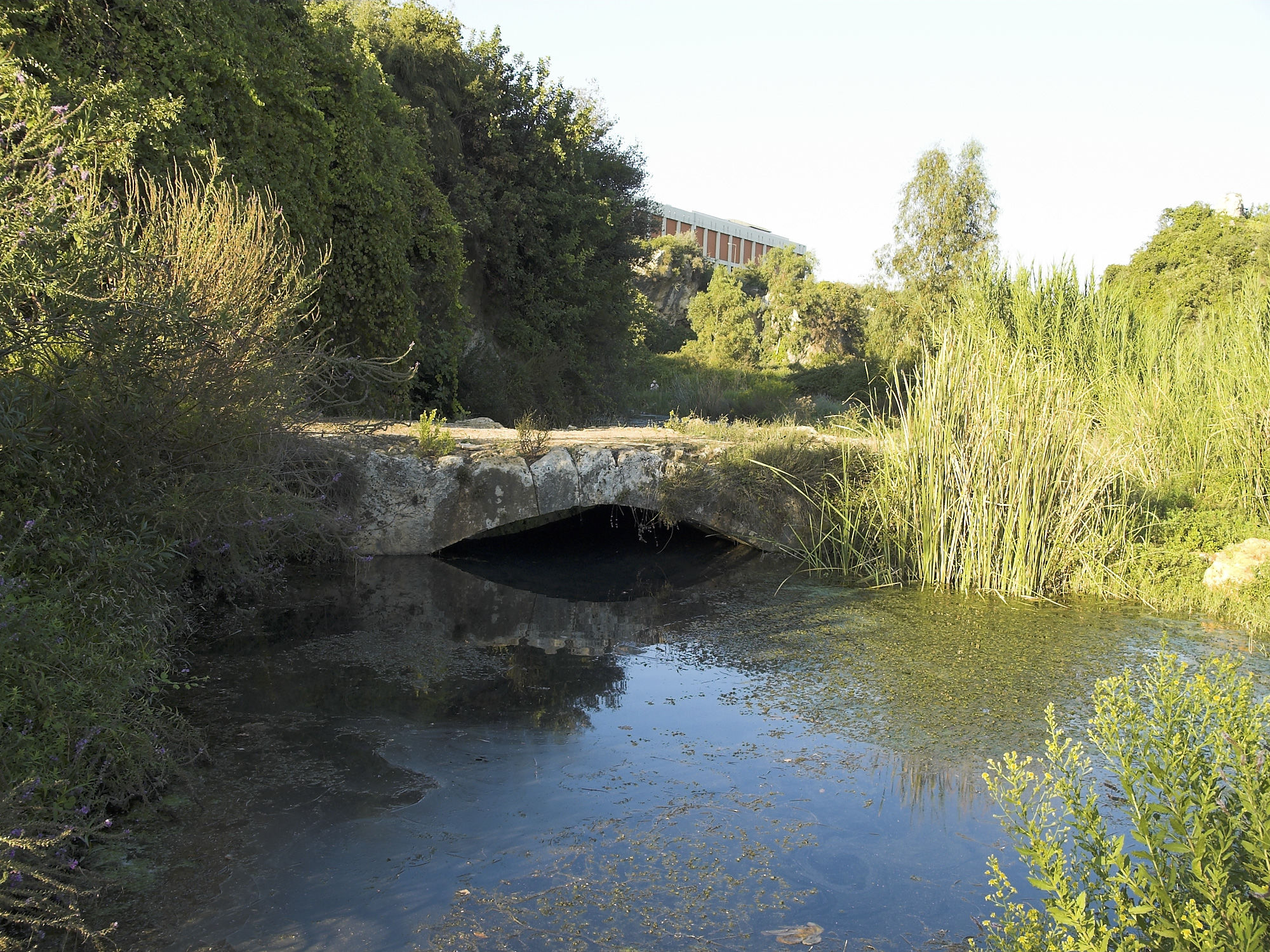 Ponte di Arapsu